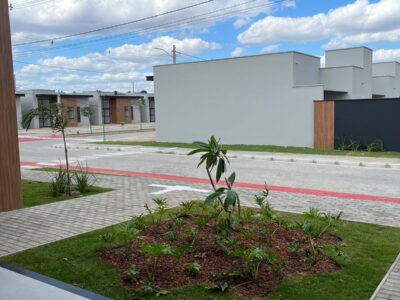 Fotos site Haute nov .24 (10)